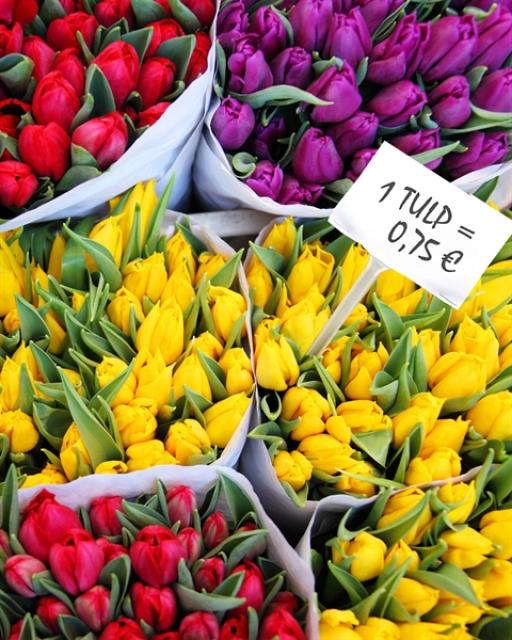 WHOLESALE - TALLINN/TARTU SEMICOLOR TULIPS IN BOUQUET. Choose the amount (min. quantity 10 bouquets)